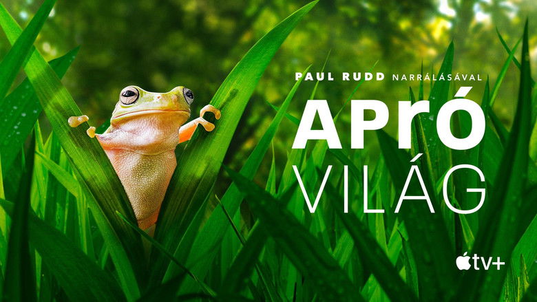 Gallery image from eF4BdVvQbm5mumhCAqm0rWU1PZj.jpg