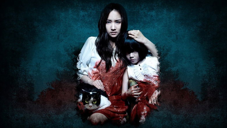 고양이: 죽음을 보는 두 개의 눈