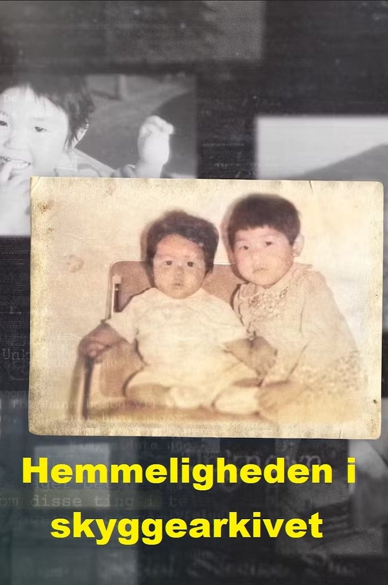 Hemmeligheden i skyggearkivet poster