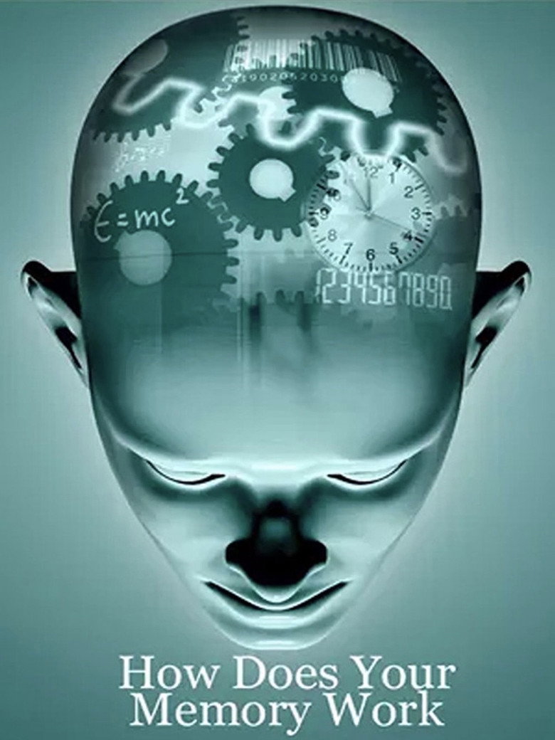 Imatge de Horizon: How Does Your Memory Work?