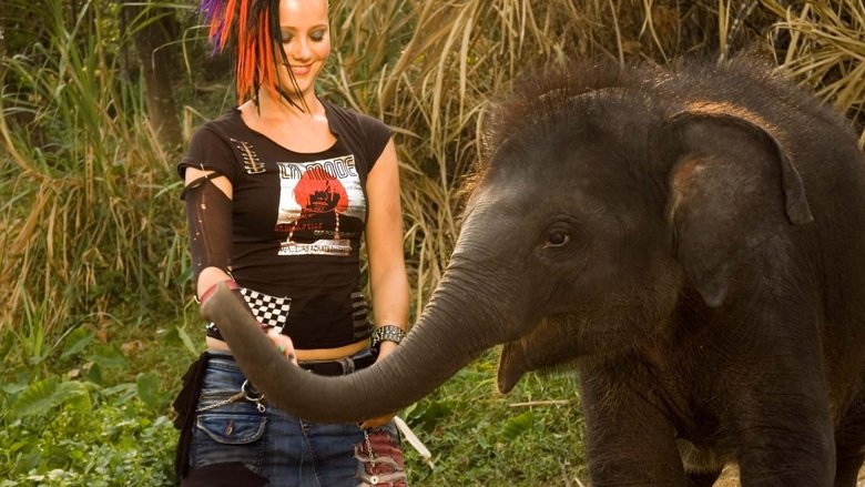 Gallery image from eFvvf3Z3ppGD59o4tihZ8wqPuTO.jpg