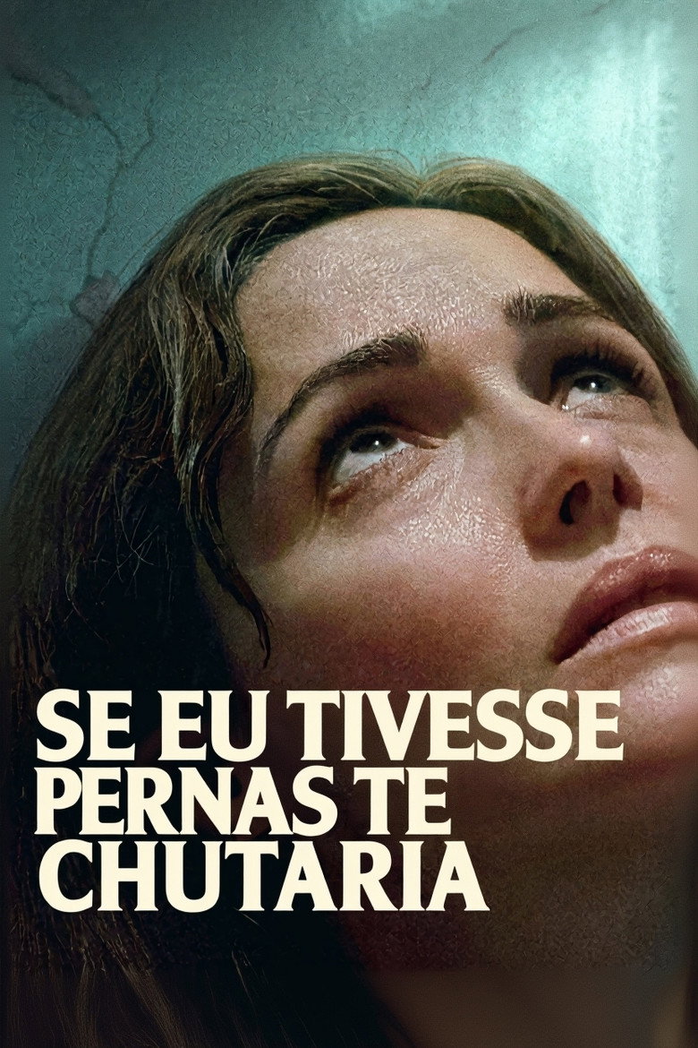 Pôster