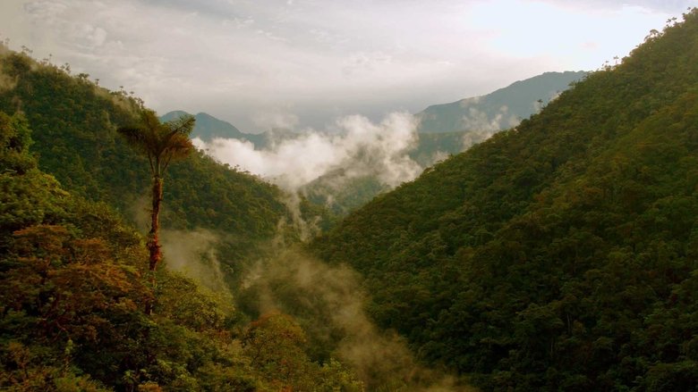 Still image for Planet 4K - Our Planet in Ultra HD season 1 episode 1: From Ecuador to Bolivia