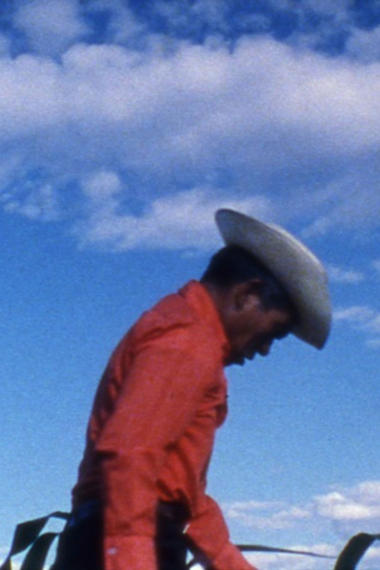 Imatge de Anselmo and the Women