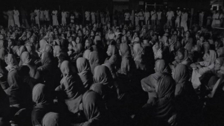 Gallery image from eGO7RMtOm0ag6cmAgyLEwM6DtBD.jpg