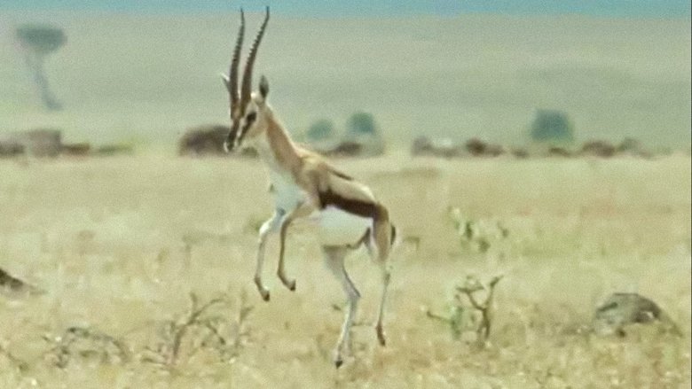 Still image for Trials of Life season 1 episode 10: Talking to Strangers Still image for Trials of Life season 1 episode 10: Talking to Strangers