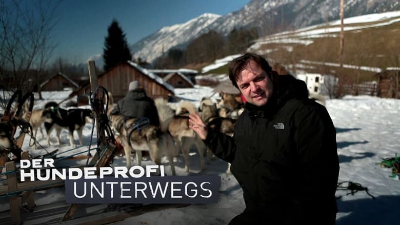 Der Hundeprofi unterwegs