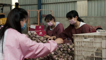 Still image for Rotten season 1 episode 3: Garlic Breath Still image for Rotten season 1 episode 3: Garlic Breath