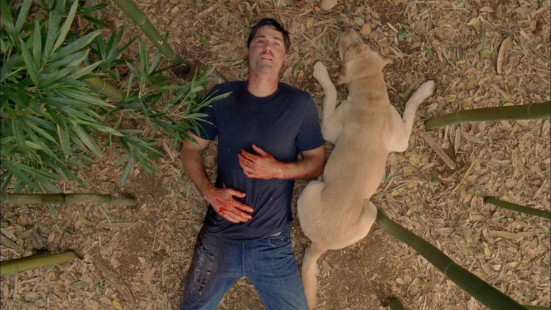Frame from Lost: The Finale
