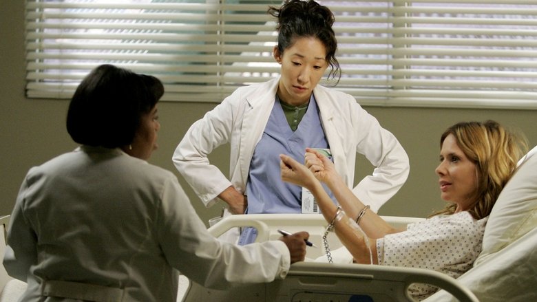 Grey's Anatomy Saison 2 Streaming Vf Grey's Anatomy saison 2 épisode 11 en streaming Vostfr et vf