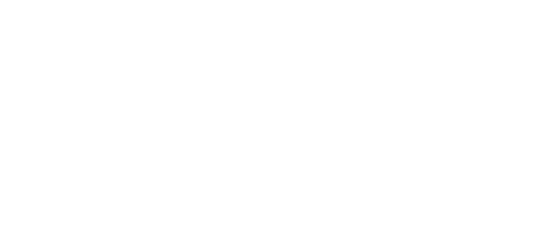 Catfish