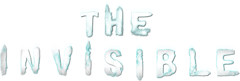 Imagen de Invisible