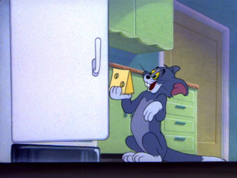 Nit-Witty Kitty