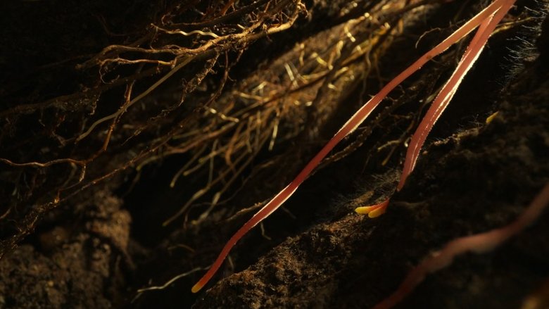 Gallery image from eIiLOBNXkEJRPOhU7U92ryFAleQ.jpg