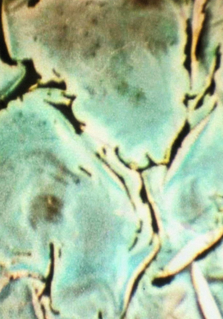 Imatge de Nebula Rising