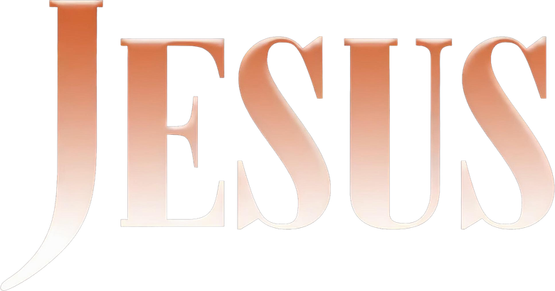 Imagen de La vida pública de Jesús