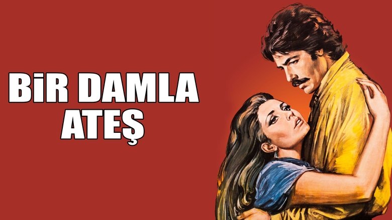 Gallery image from eJL8rJiYTHqIu6XGzdKs9o4Fzgn.jpg