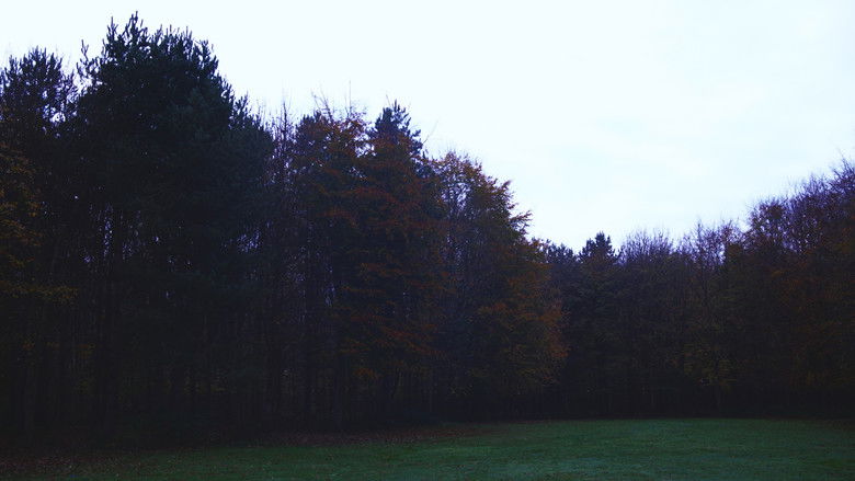 Image d'arrière-plan 2 du film La Voie