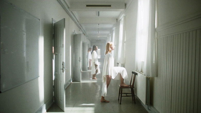 Gallery image from eJR6xaqbHu1znpGmf0gAuRfJLFI.jpg