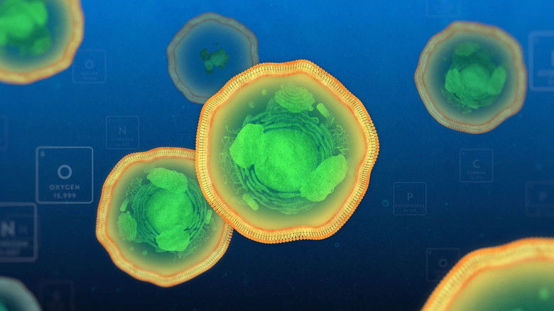 Still image for The Chemical World season 1 episode 1: Origins