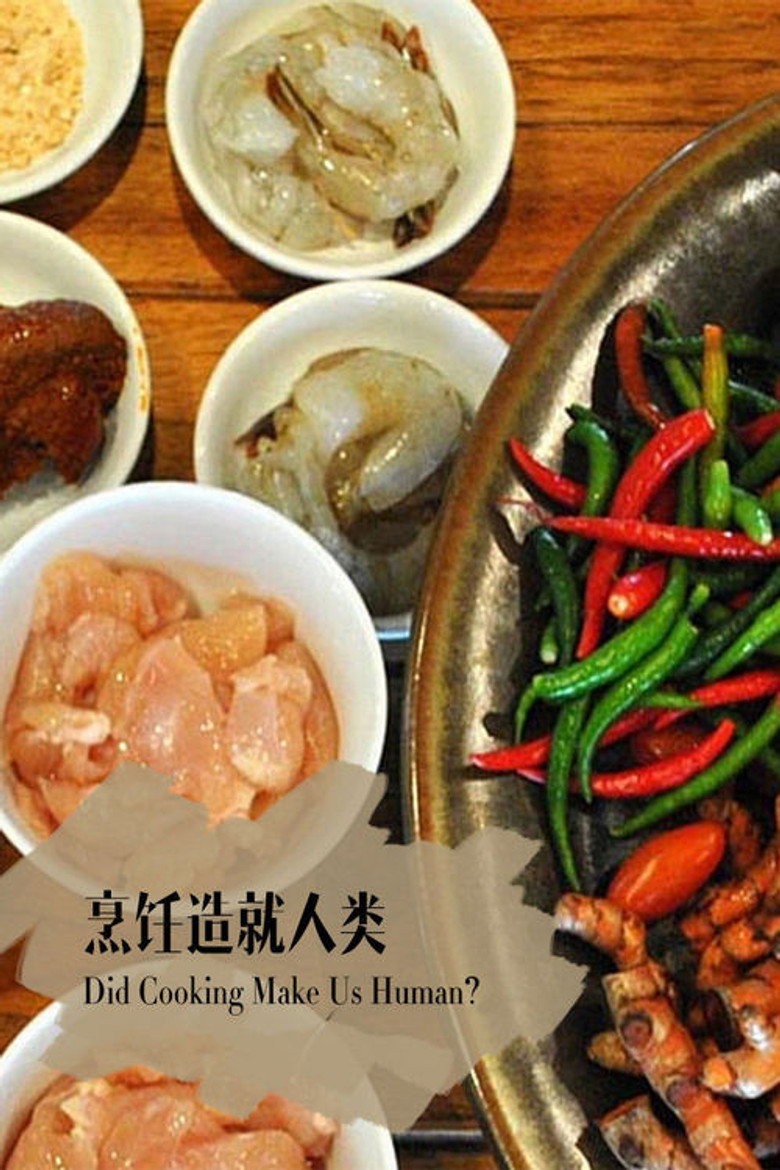 地平线系列:烹饪造就人类吗 (2010)-光鸭·臻影社