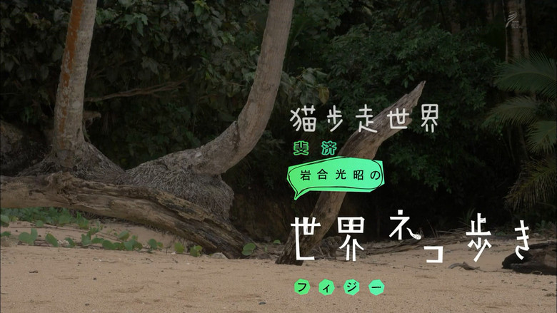 Still image for Mitsuaki Iwago's World “Cats” Travelogue season 1 episode 61: Fiji Still image for Mitsuaki Iwago's World “Cats” Travelogue season 1 episode 61: Fiji