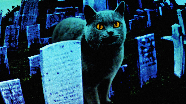 Backdrop de Pet Sematary Collection