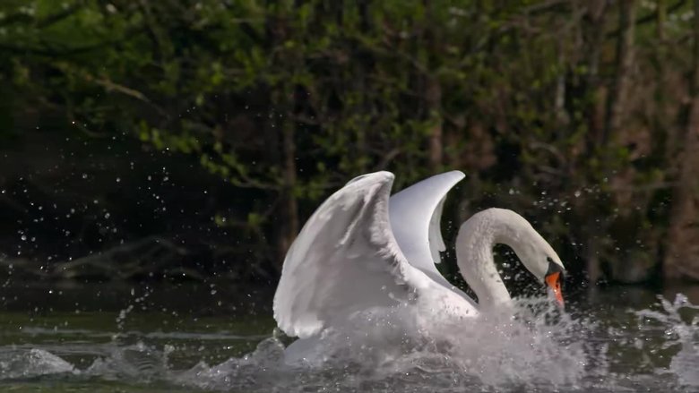 Gallery image from eKp0U0O5Xl2mUdW714O6lUNkArm.jpg