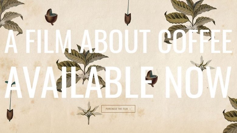 Gallery image from eM7wTTP5NJSmWImKd6tjGbJUNMU.jpg