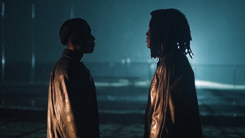 Cuttlefish image 1