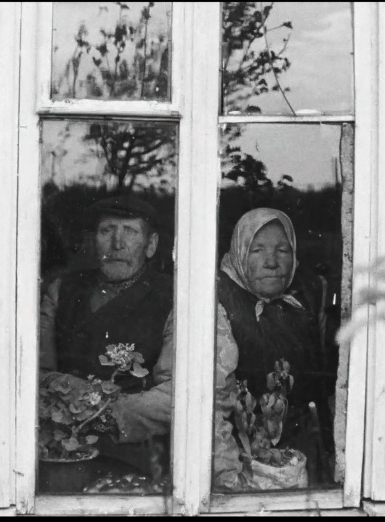 Imatge de Šimtamečių godos