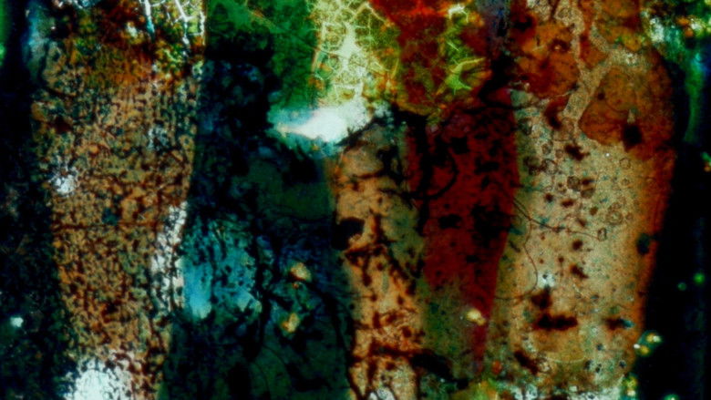 Imatge de Color Neutral