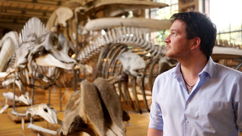 Still image for Secrets of Bones season 1 episode 1: Size Matters Still image for Secrets of Bones season 1 episode 1: Size Matters