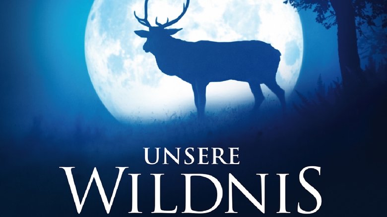 Gallery image from eNoNZOqkDeAgZtyHkuFI9LI3KG7.jpg