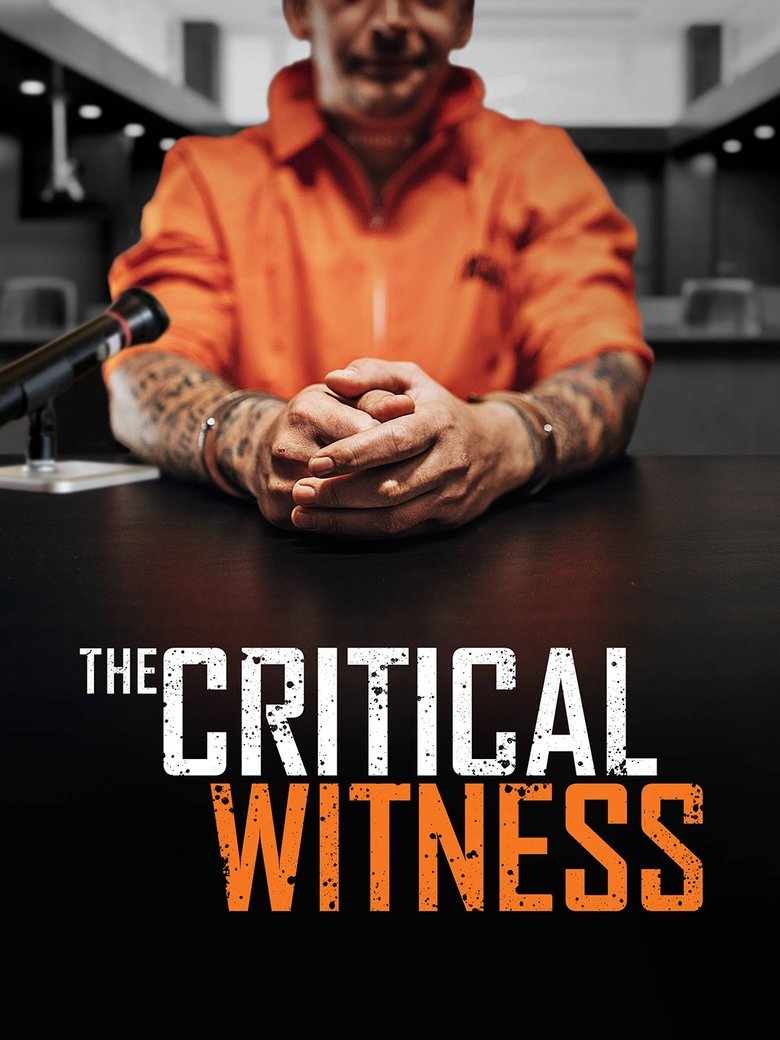 The Critical Witness main poster