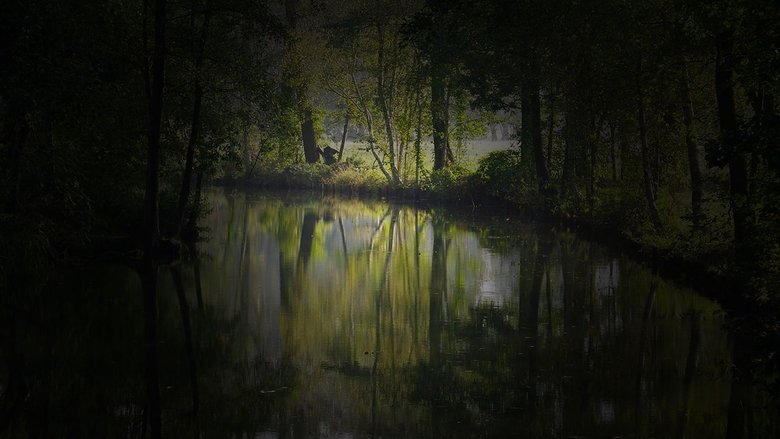 Gallery image from eO8vtLnFfIomjrAADLtOLAAssPf.jpg