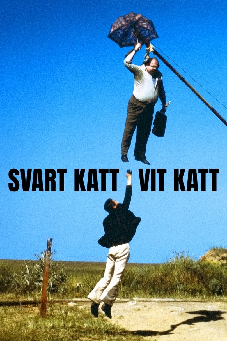 Svart katt, vit katt (1998)