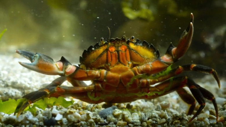 Gallery image from eP0sj9Z0kXSyRonT2St1Wcvpfez.jpg