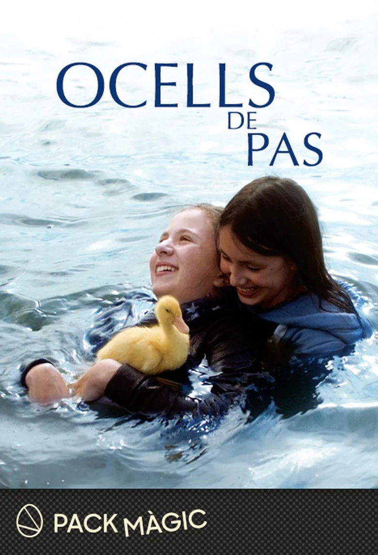 Imatge de Ocells de pas