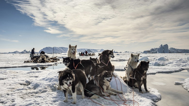 Still from Frozen Planet II - Season 1 Episode 6