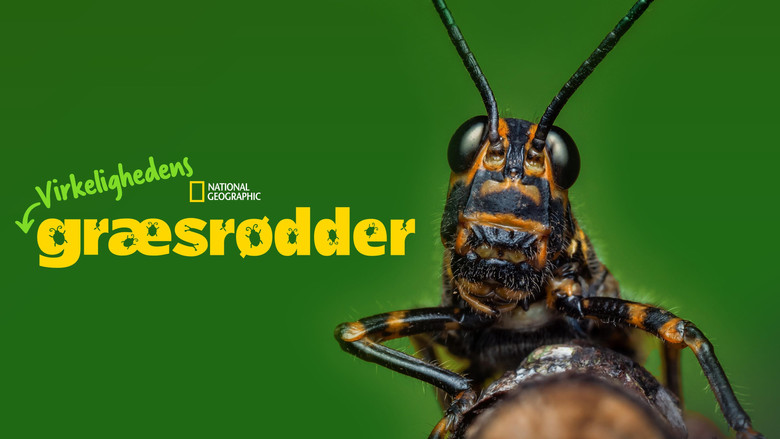 Gallery image from eQBel5Q4gkaOW0s9DpkeCGFPcKT.jpg