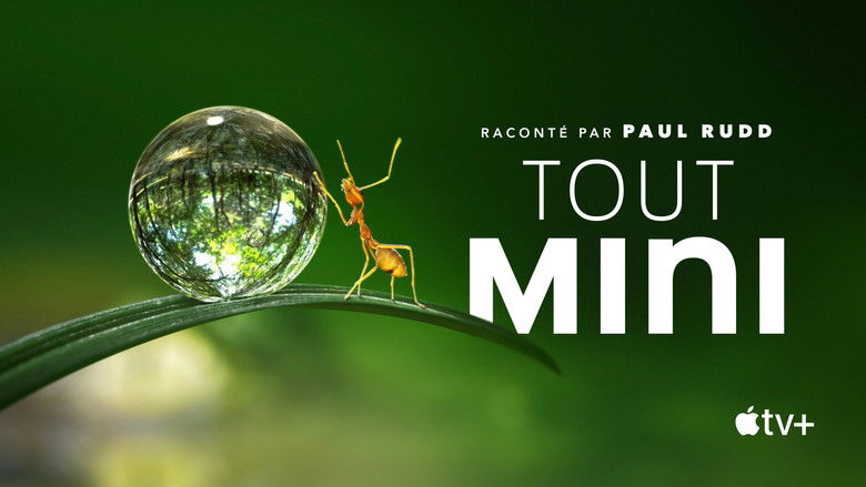 Gallery image from eQVSLrLGquTLtzJB5ERGWFIX8co.jpg