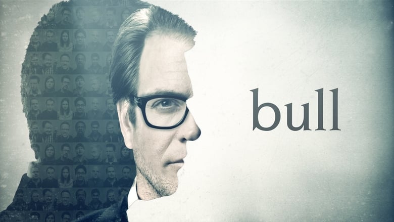 Bull (2016)