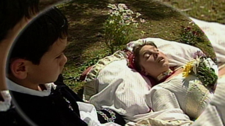 Cómplices Al Rescate Temporada 1 Episodio 56 Cuevana 3