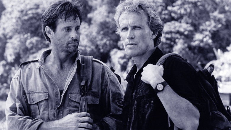 Image d'arrière-plan 3 du film Fifty/Fifty