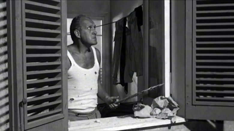 Gallery image from eRNJ3PJOPj7RJtsUqyCBBMhpqIe.jpg