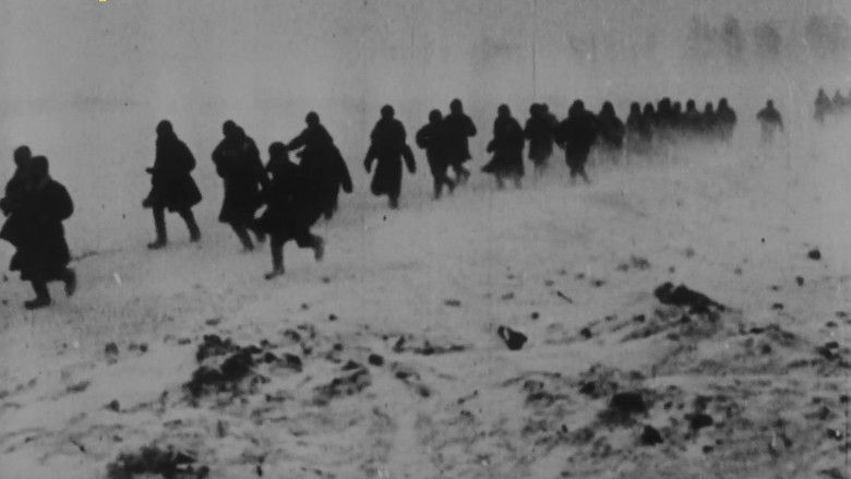 Gallery image from eRZknMLhO5YKrAkKCgGXdOvo8Ez.jpg