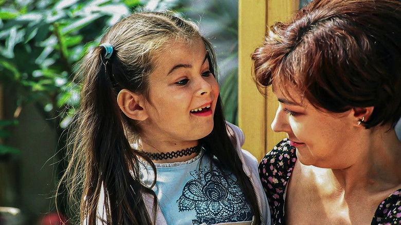 Waterbomb for the Fat Tomcat