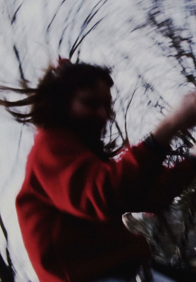 Imatge de some brief notes on beauty and being