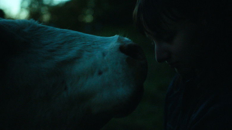 Gallery image from eSCKsxQlywV5q6NKEvOJaSdXDwr.jpg